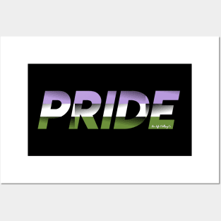 LGBTQ+ PRIDE: Genderqueer Pride Flag Posters and Art